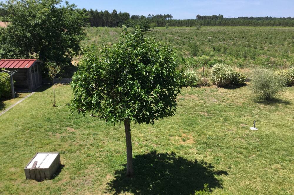 Photo of Outdoor in Sainte-Eulalie-en-Born