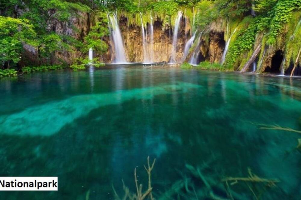 Photo of Outdoor in Zelena