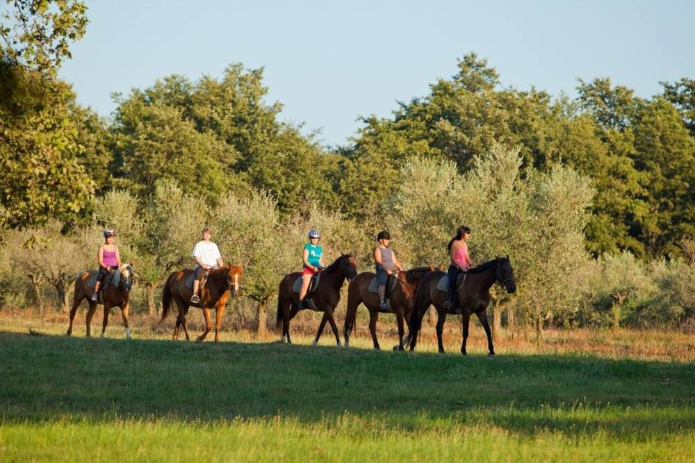 Photo of Others in Zelena
