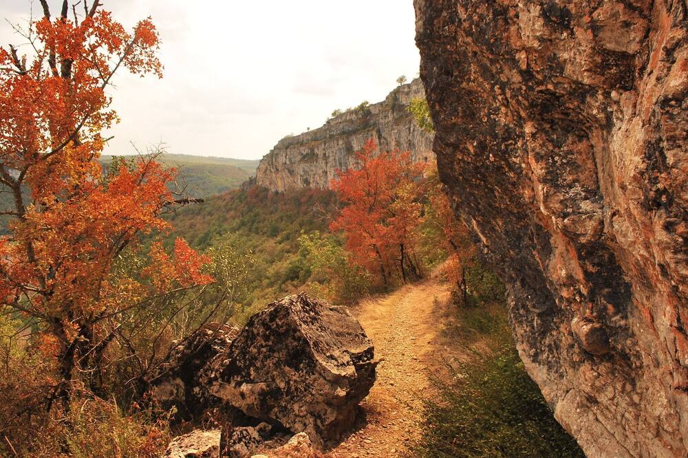 Photo of Others in Thegra