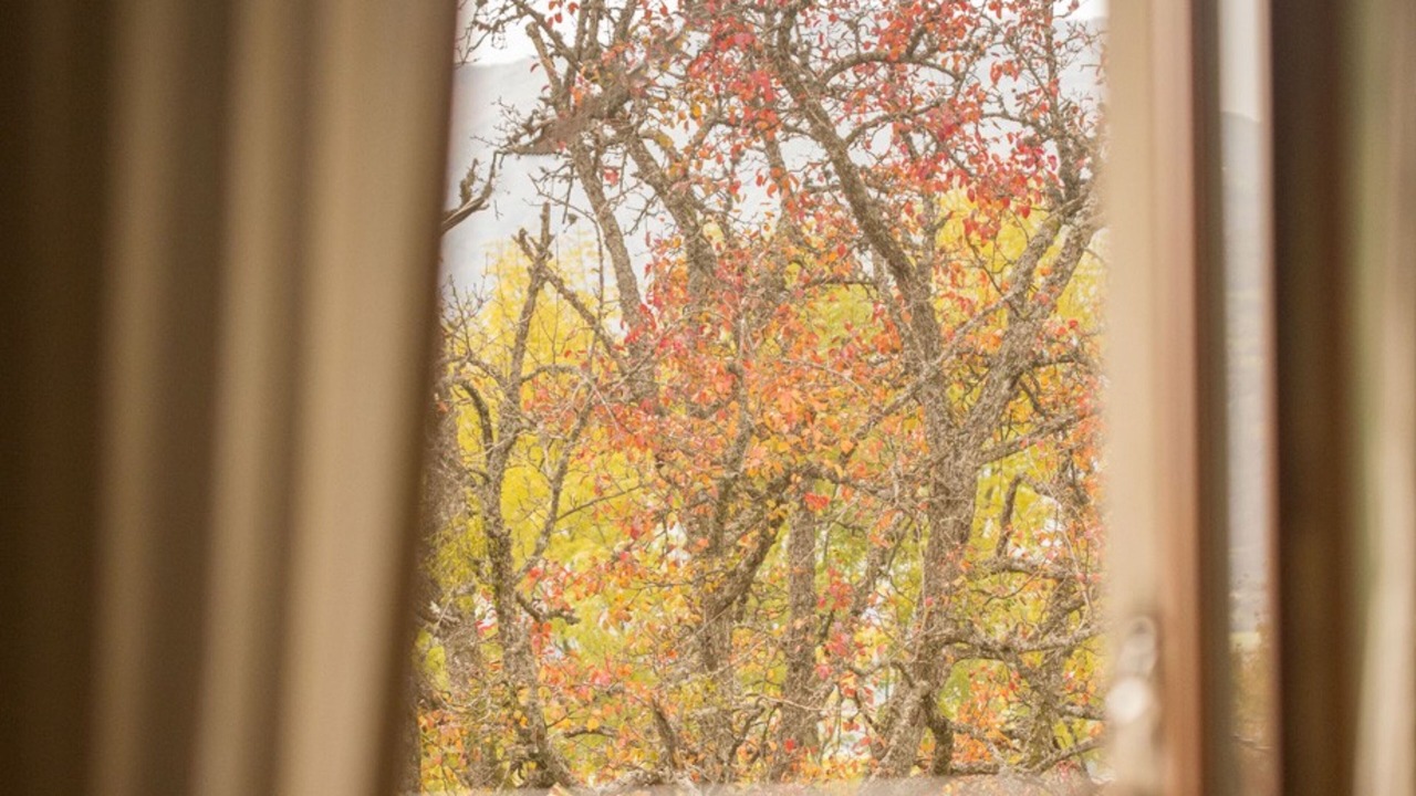 Photo of Others in Lucinges