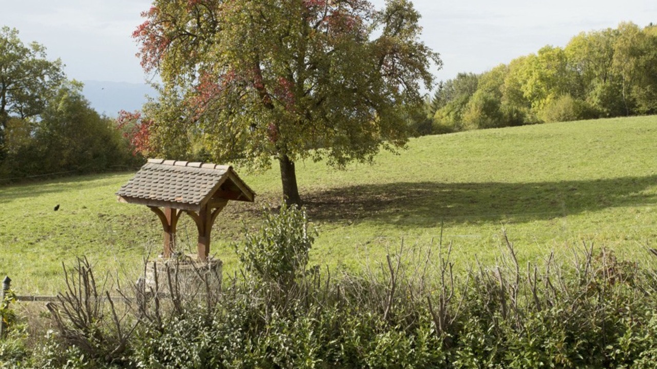 Photo of Outdoor in Lucinges