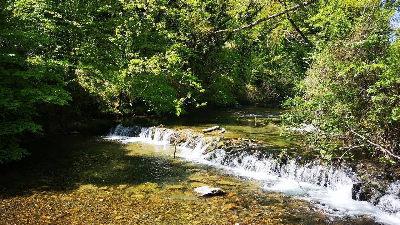Photo of Outdoor in Basaburua