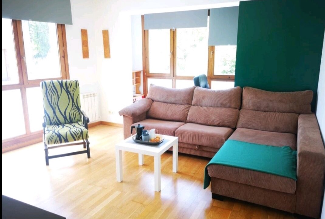 Photo of Livingroom in Basaburua