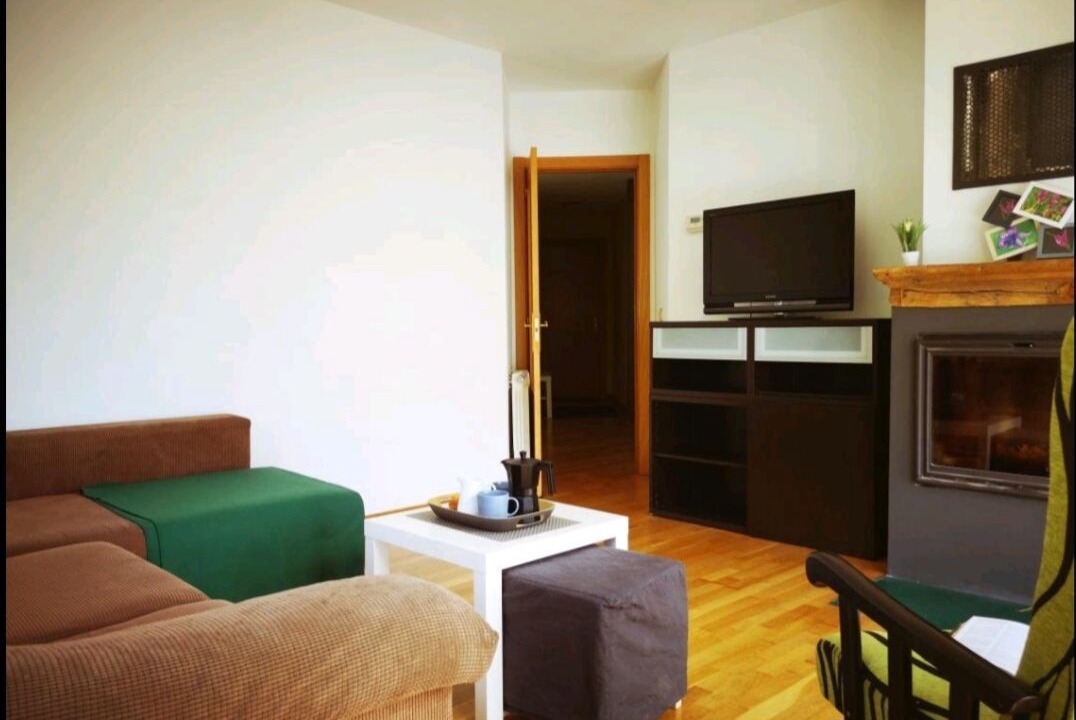 Photo of Livingroom in Basaburua