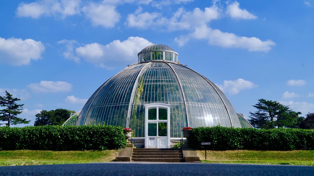 Photo of Others in Hanger Hill