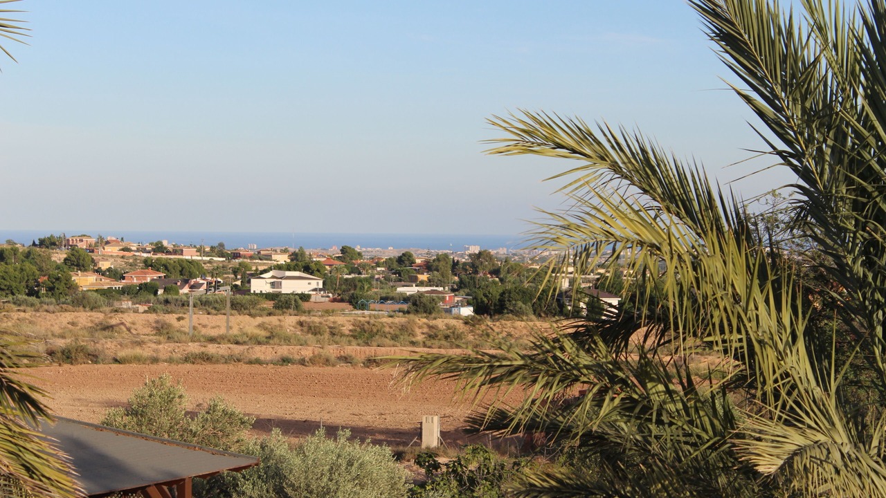 Photo of Others in San Vicente del Raspeig