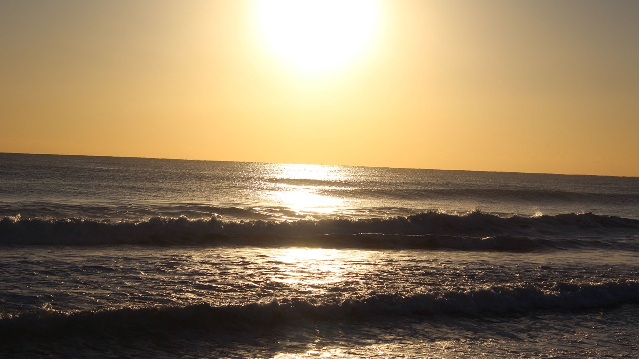 Photo of Others in San Vicente del Raspeig