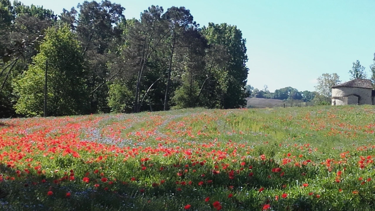 Photo of Outdoor in Gueyze