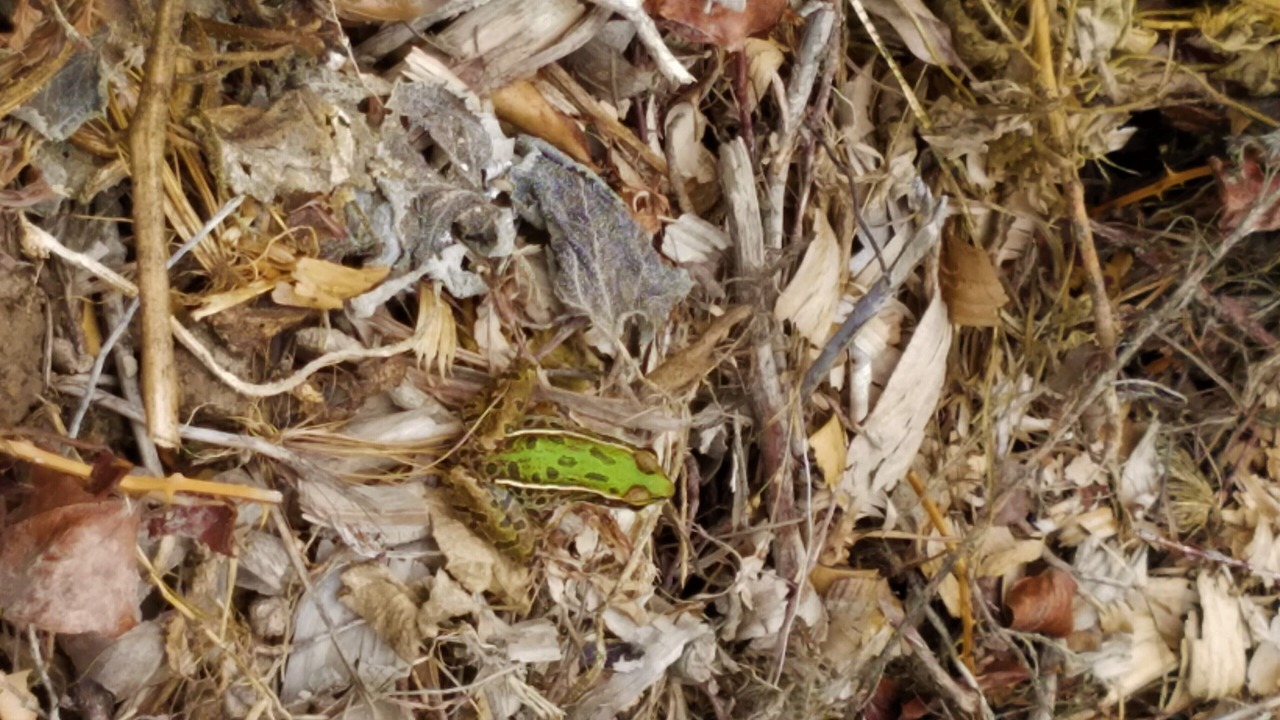 Photo of Outdoor in Yellville