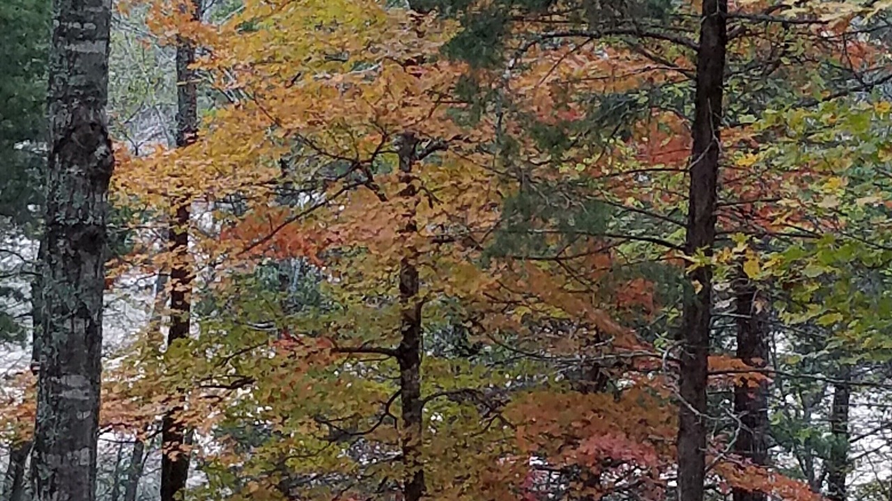 Photo of Outdoor in Yellville