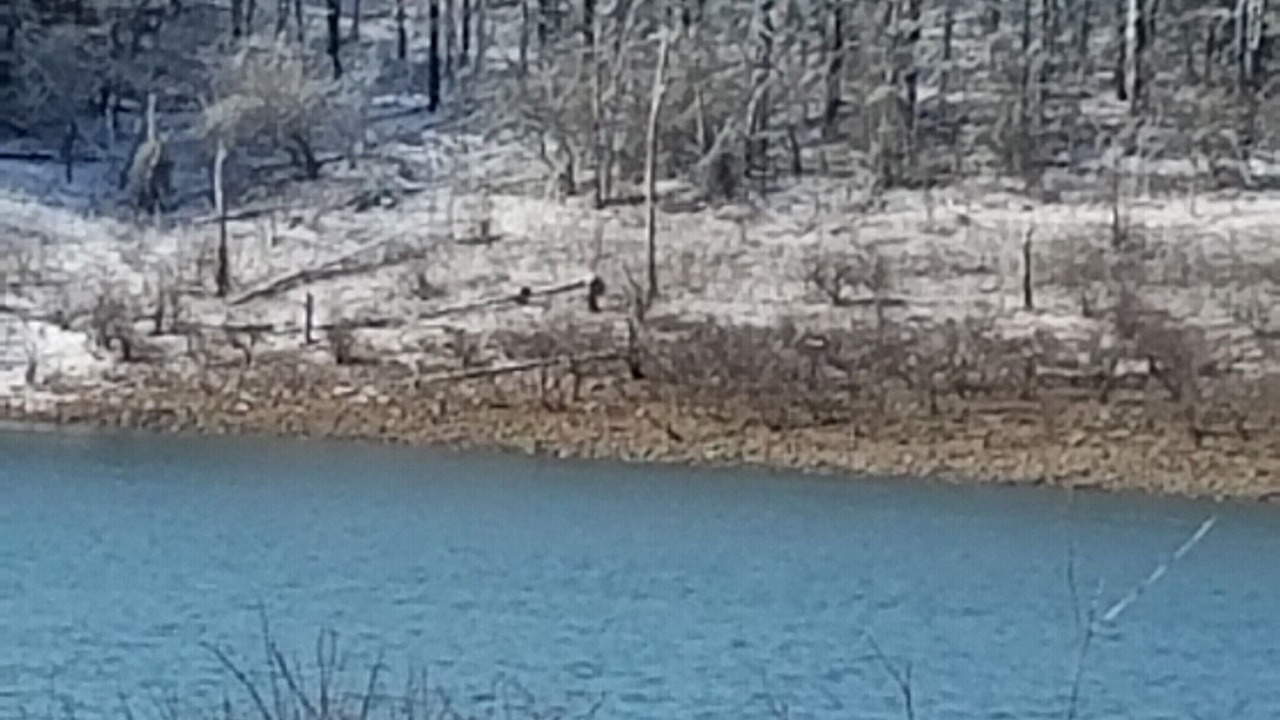 Photo of Others in Yellville