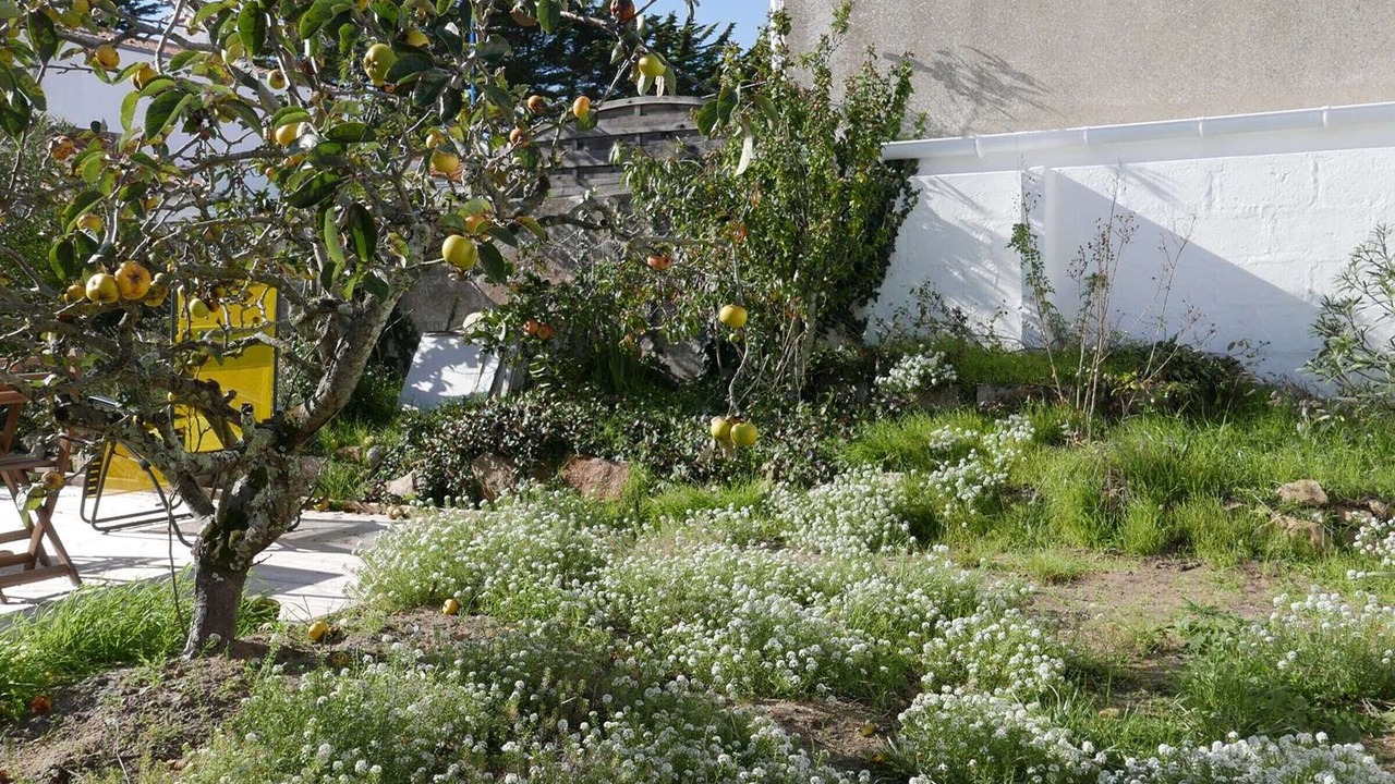 Photo of Outdoor in La Gueriniere