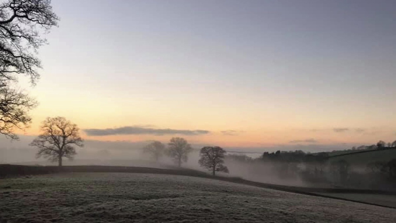 Photo of Others in Broadwoodkelly