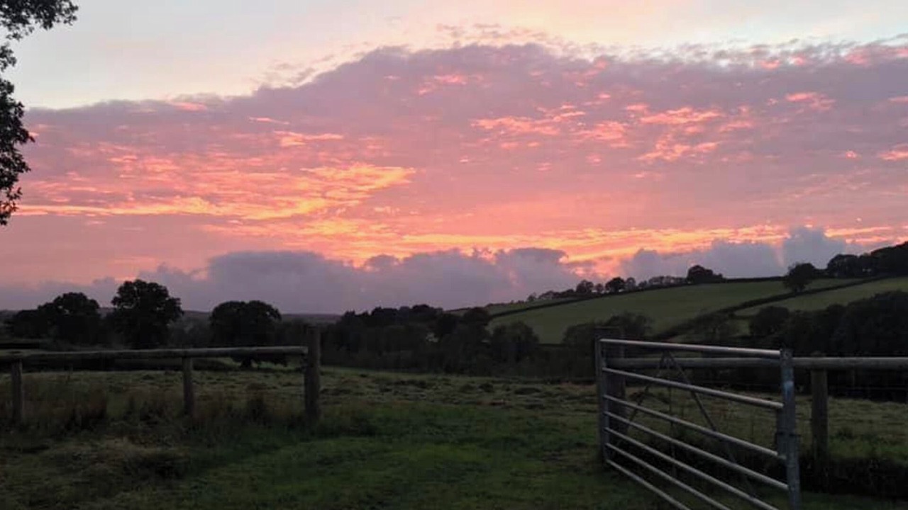 Photo of Others in Broadwoodkelly