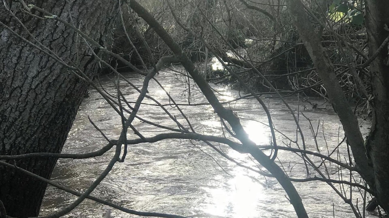 Photo of Others in Broadwoodkelly