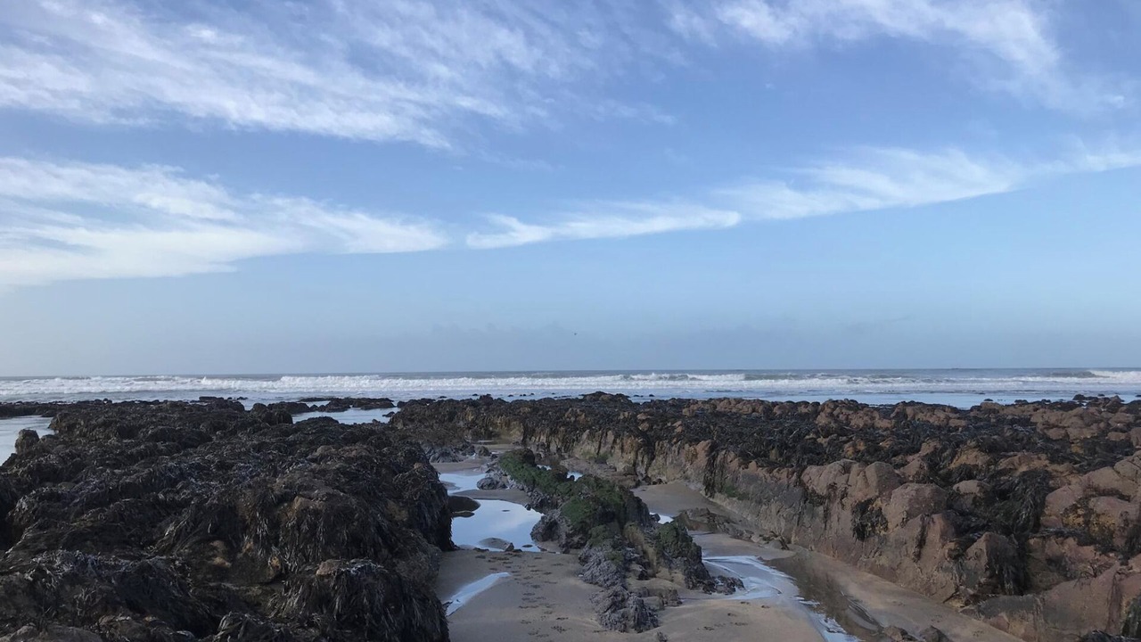 Photo of Others in Broadwoodkelly