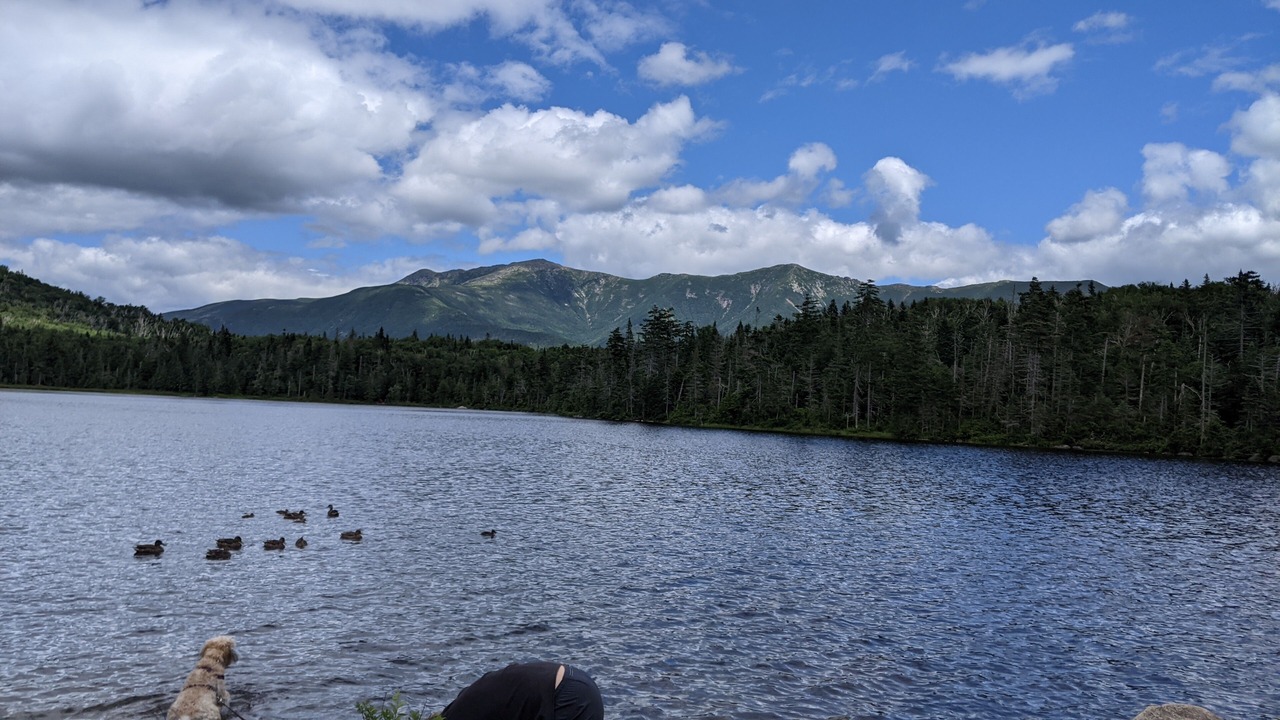 Photo of Outdoor in Thornton