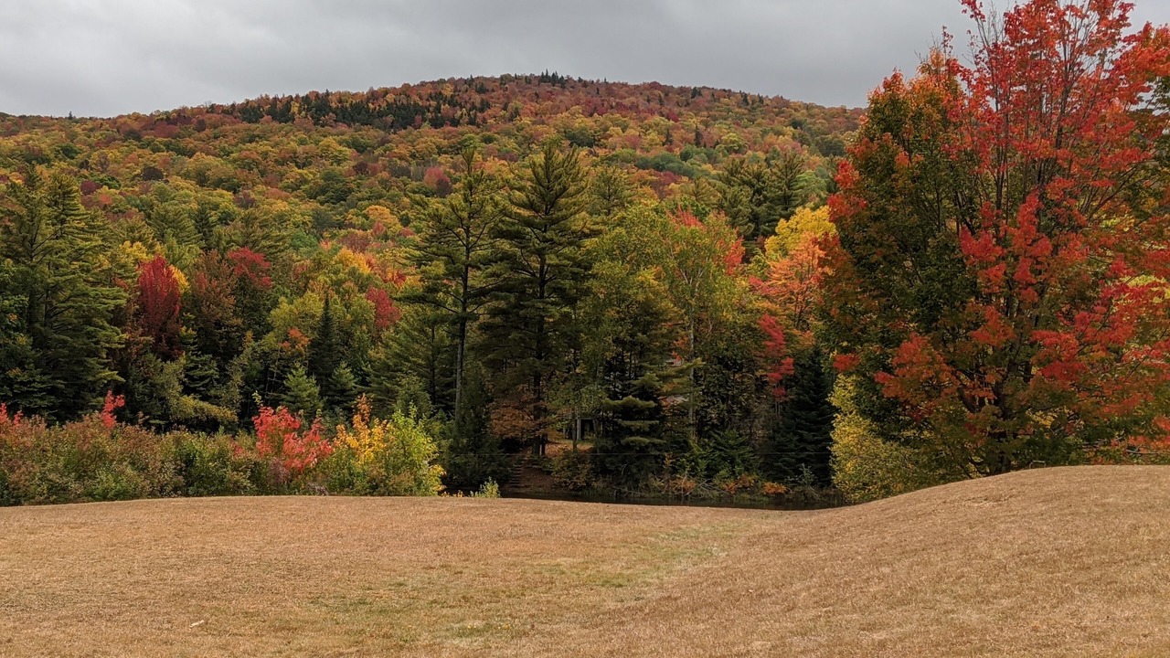 Photo of Outdoor in Thornton