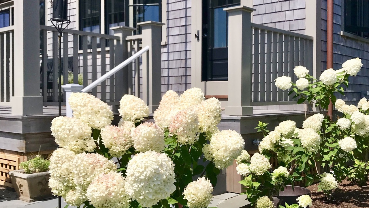 Photo of Outdoor in Nantucket Town