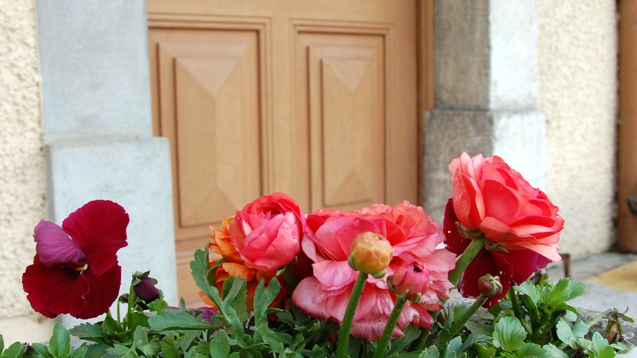 Photo of Outdoor in Vuiteboeuf