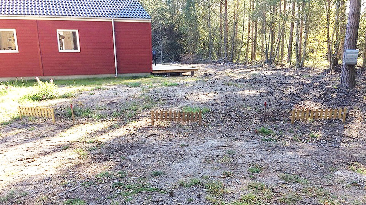 Photo of Outdoor in Læsø