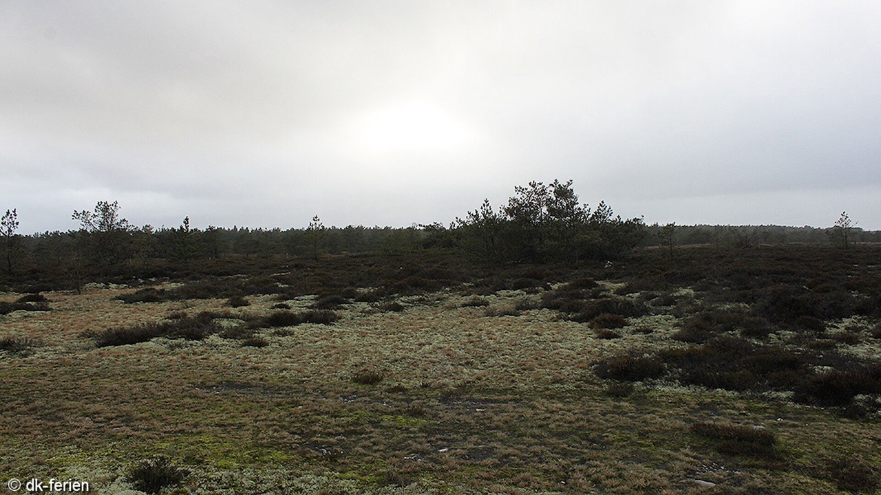 Photo of Outdoor in Læsø