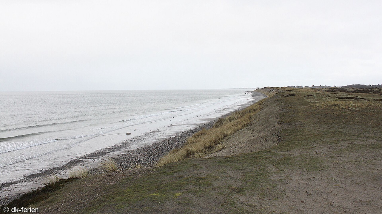 Photo of Others in Læsø