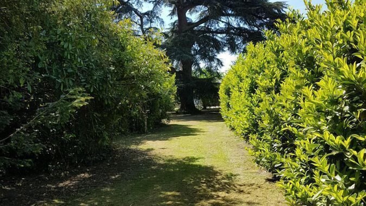 Photo of Outdoor in Gontaud