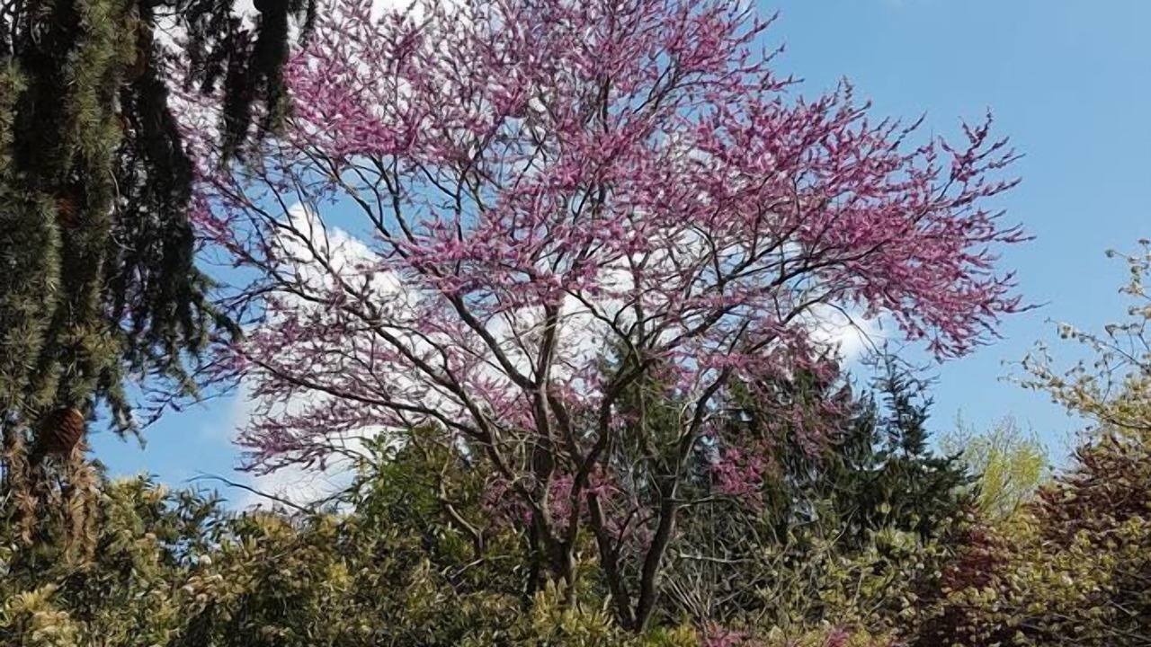 Photo of Outdoor in Gontaud