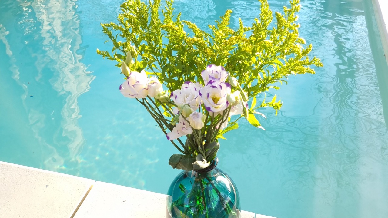 Photo of Outdoor in Gontaud