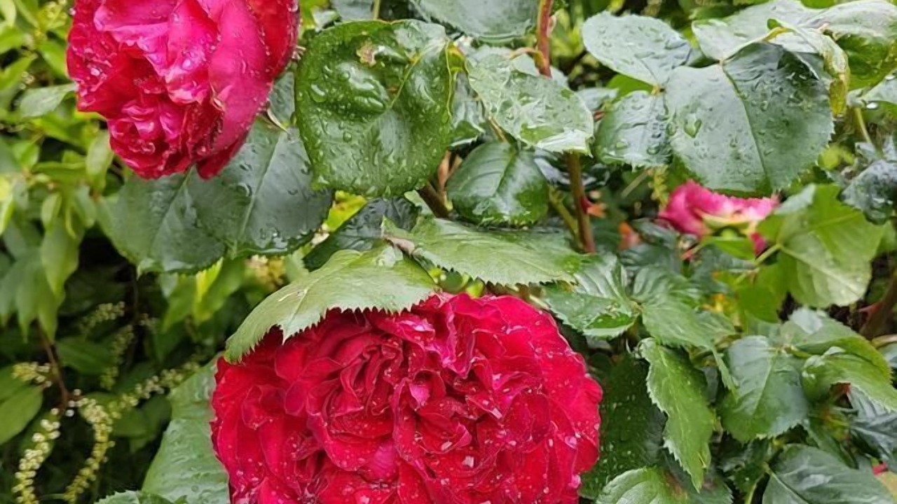 Photo of Outdoor in Gontaud