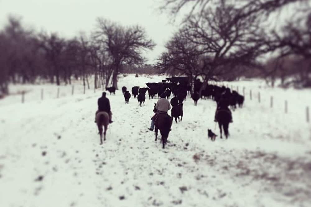Photo of Others in St. Charles