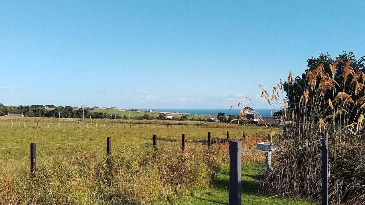 Photo of Outdoor in Lybster