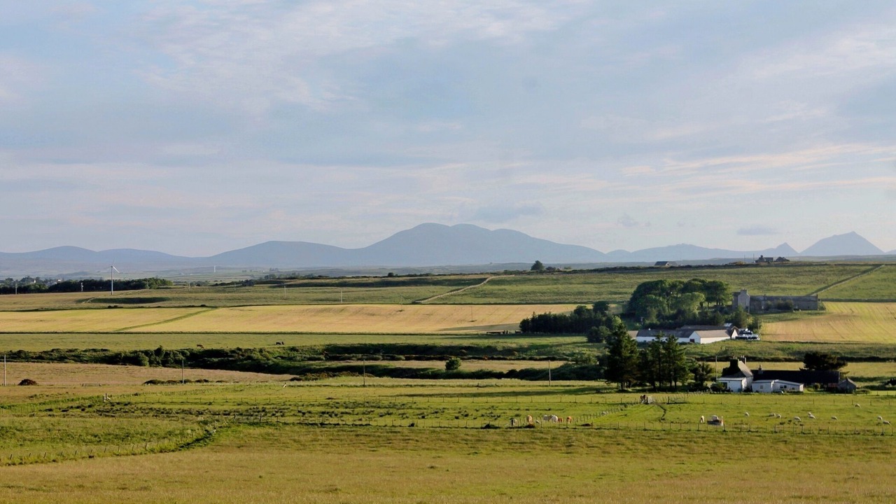 Photo of Others in Lybster