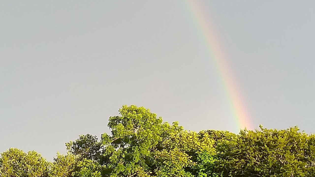 Photo of Outdoor in Lybster