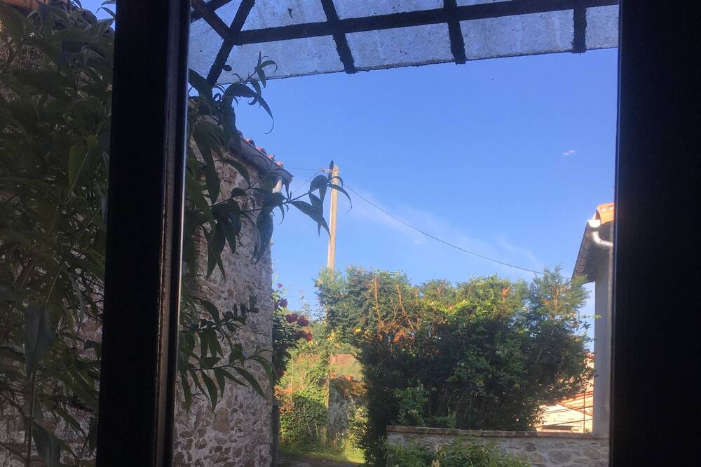 Photo of Outdoor in Champtoceaux