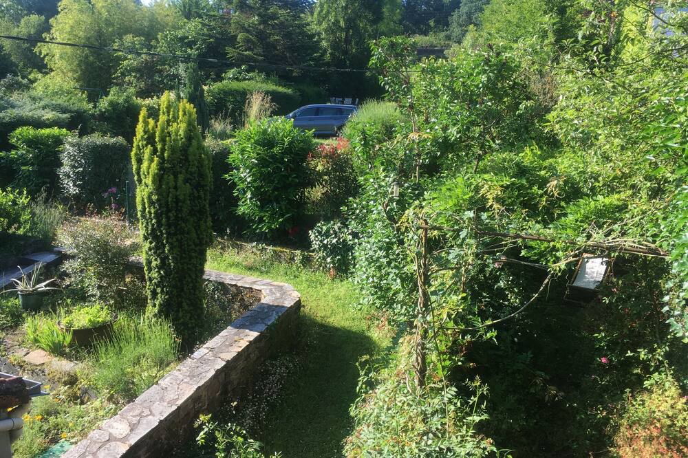 Photo of Outdoor in Champtoceaux