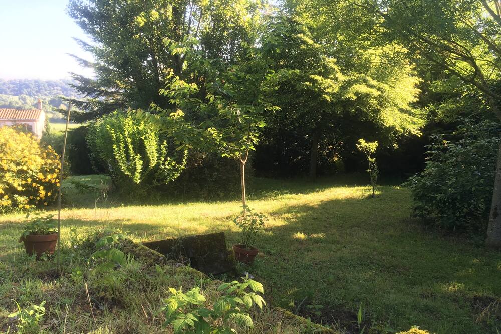 Photo of Outdoor in Champtoceaux