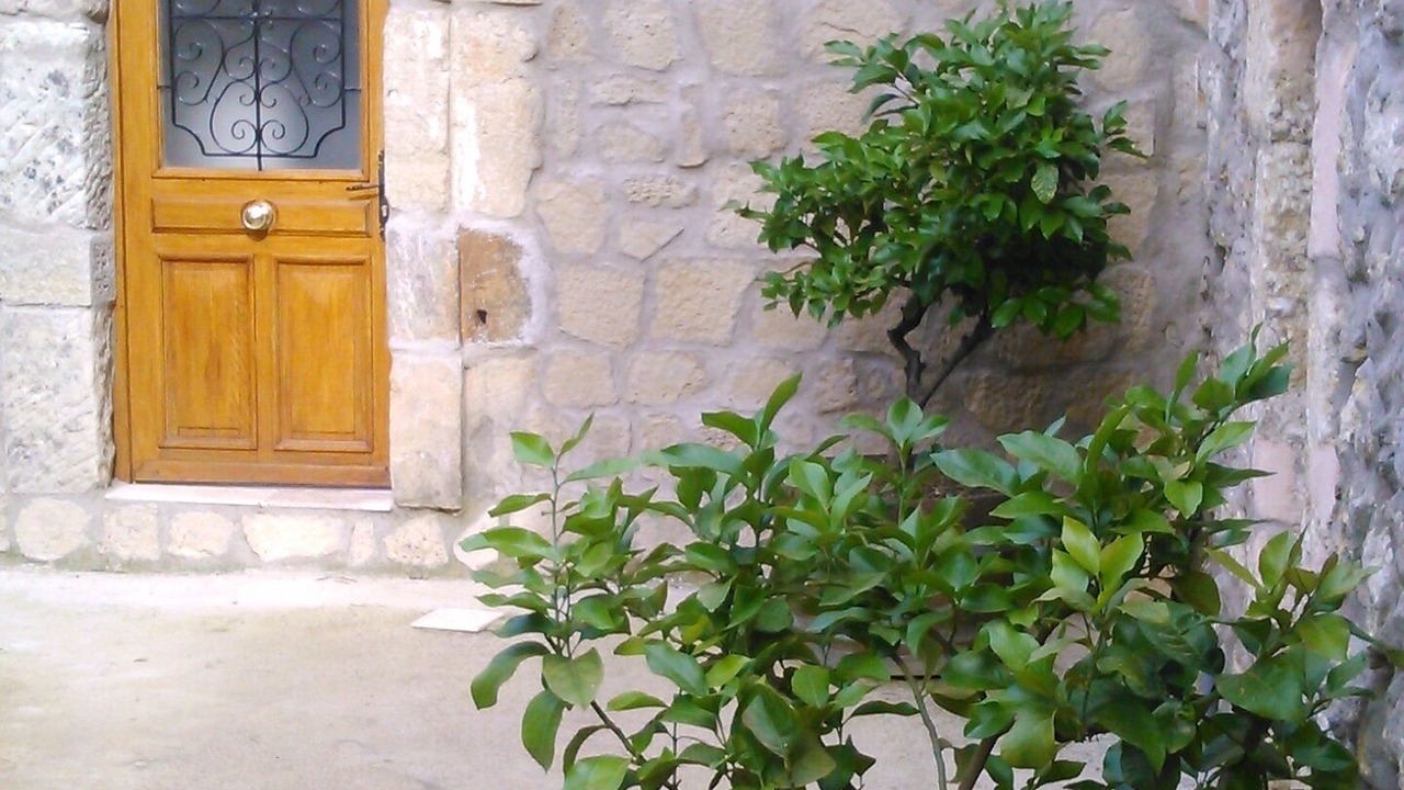 Photo of Outdoor in Laurens