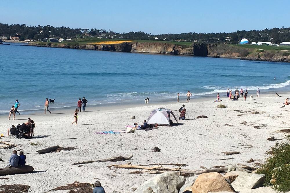 Photo of Others in Pacific Grove