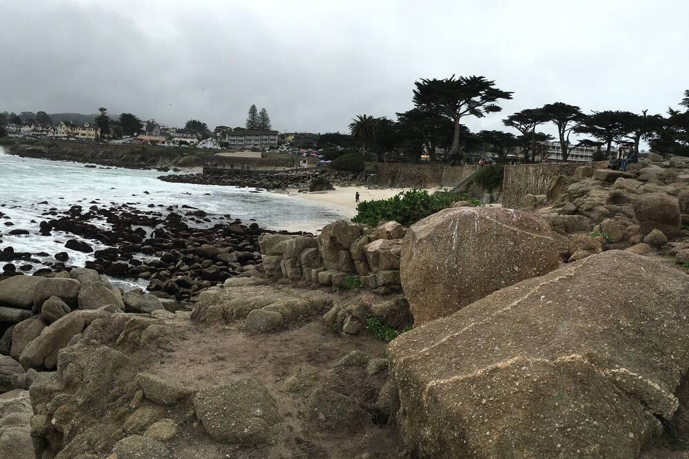Photo of Others in Pacific Grove