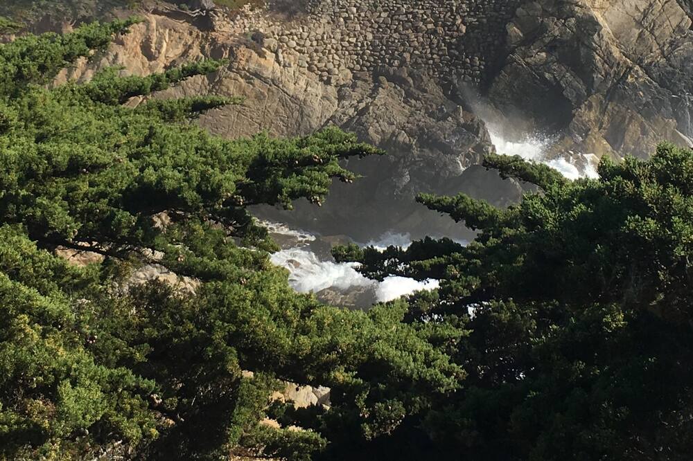 Photo of Others in Pacific Grove