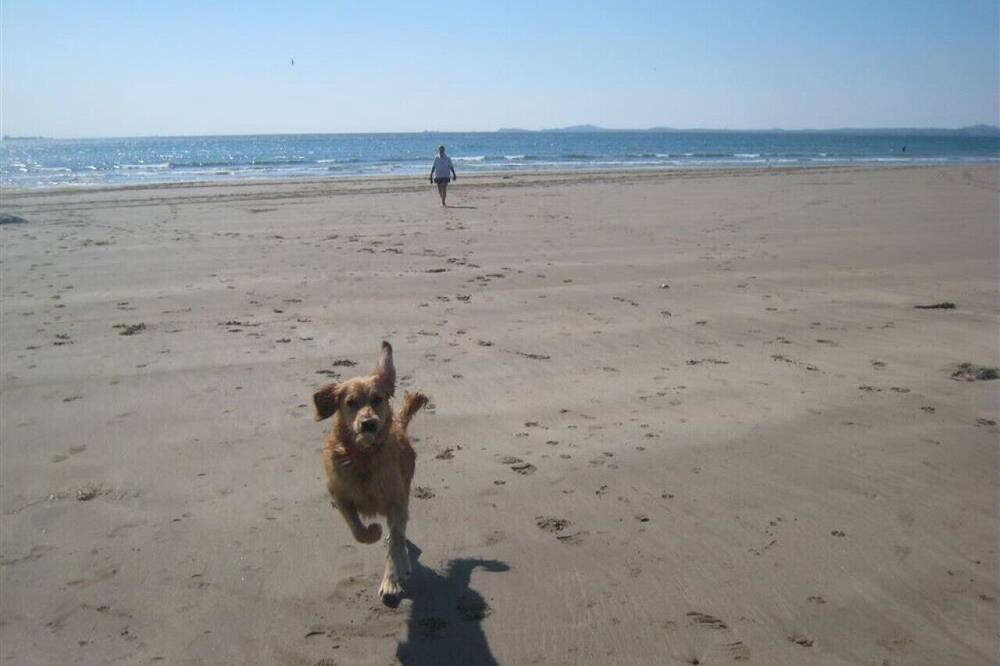 Photo of Others in Wiseman's Bridge