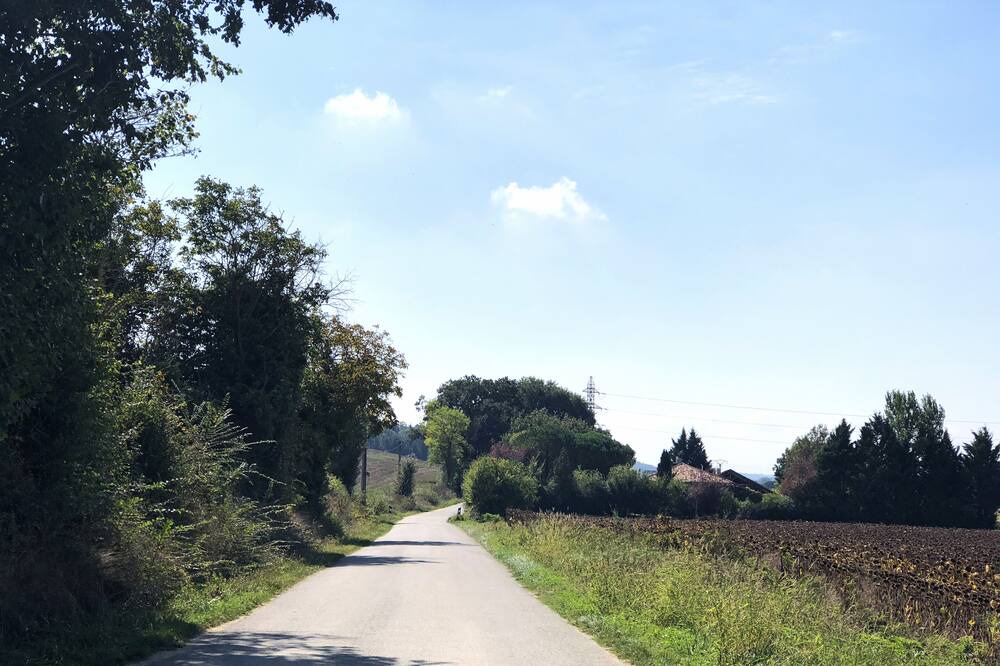 Photo of Outdoor in LIsle-en-Dodon