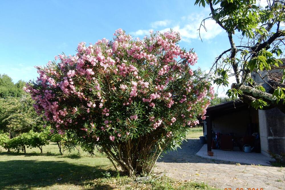 Photo of Outdoor in Rousson