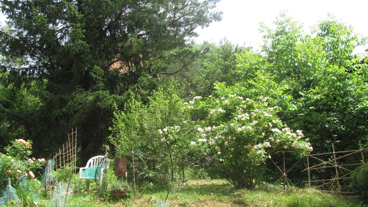 Photo of Outdoor in Roquebilliere