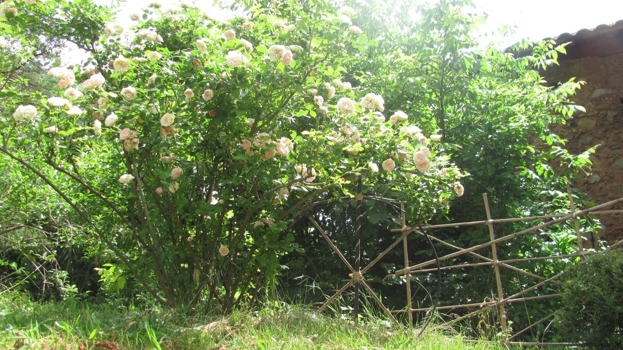 Photo of Outdoor in Roquebilliere