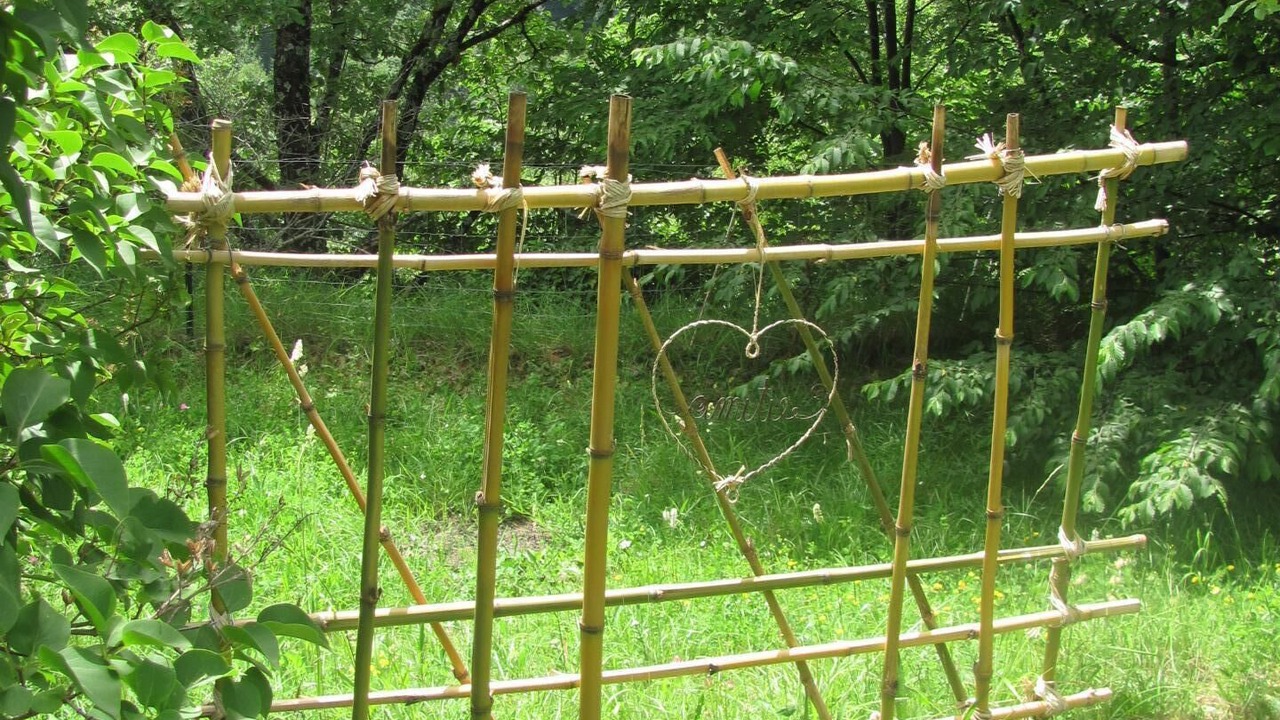 Photo of Outdoor in Roquebilliere