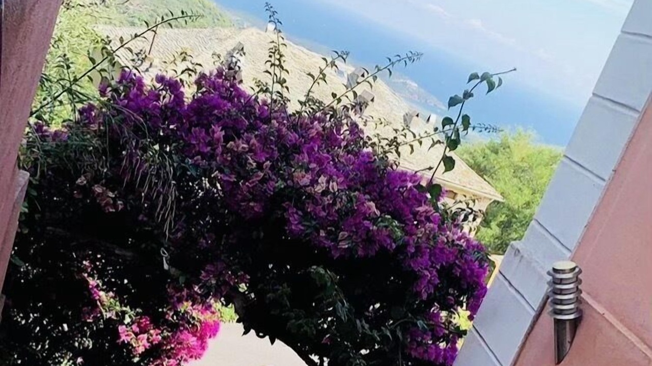 Photo of Outdoor in Rogliano